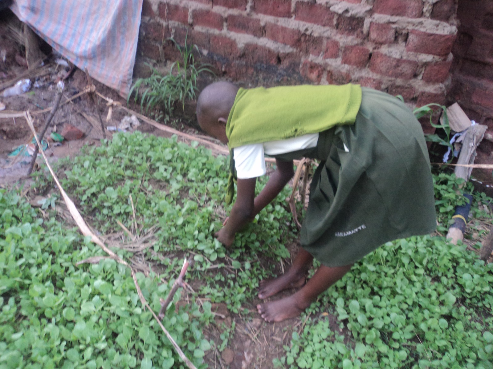 LYF Uganda community programme — photo 48
